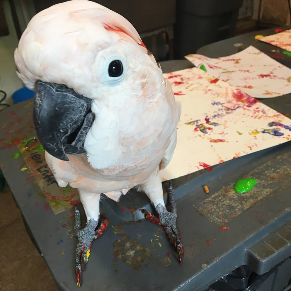 Henry the artist